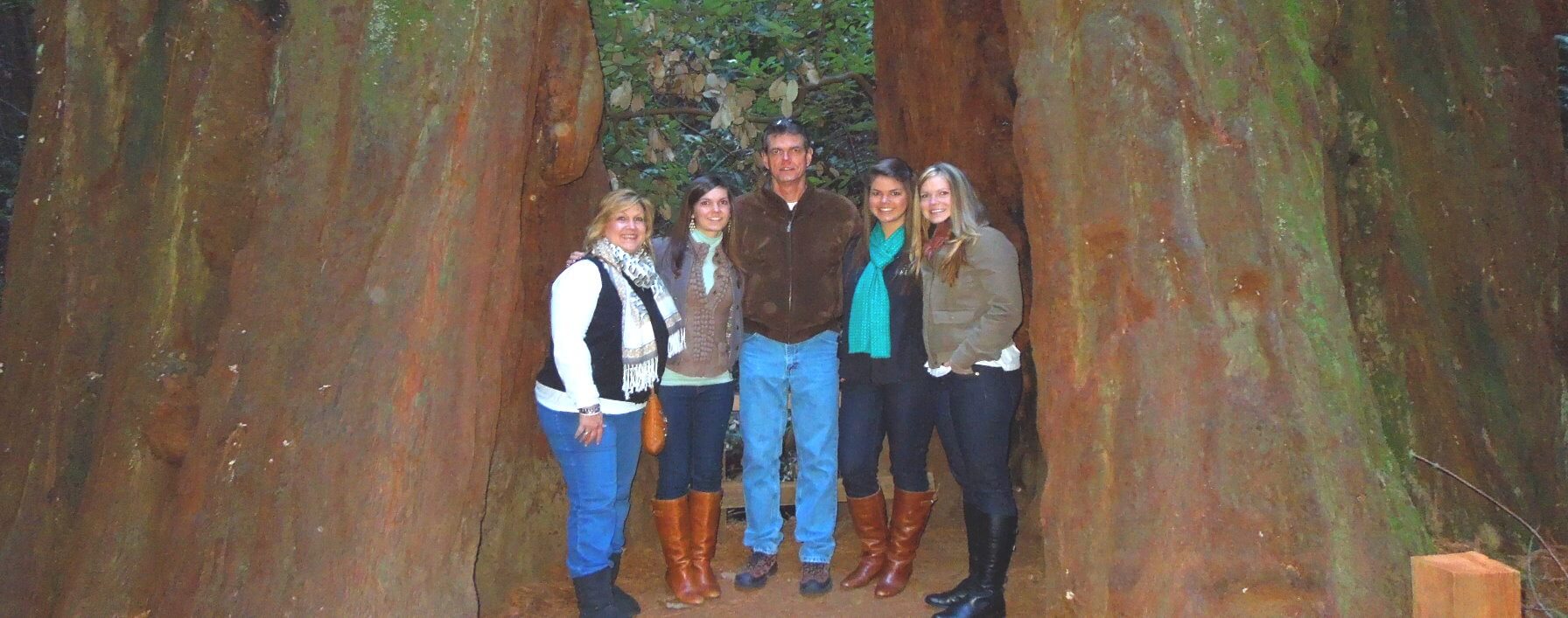 Recorrido por el Parque Nacional Redwood con secuoyas gigantes de San Francico